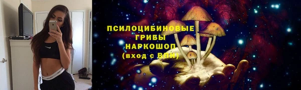 крисы Армянск