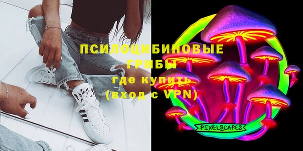 крисы Армянск